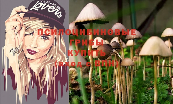 крисы Горно-Алтайск