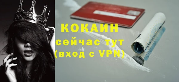 дживик Горнозаводск