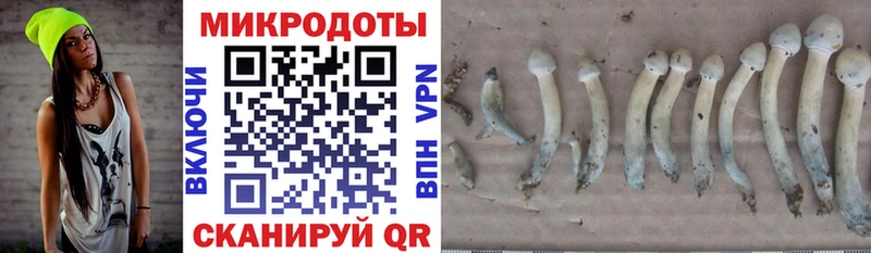 Купить  Краснотурьинск  Галлюциногенные грибы ЛСД 